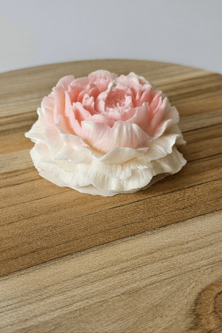 Rose sauvage détail