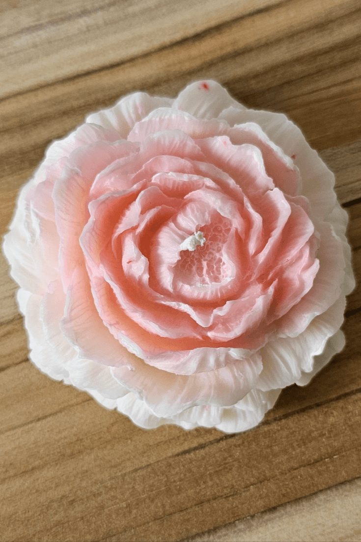 Rose sauvage vu du haut